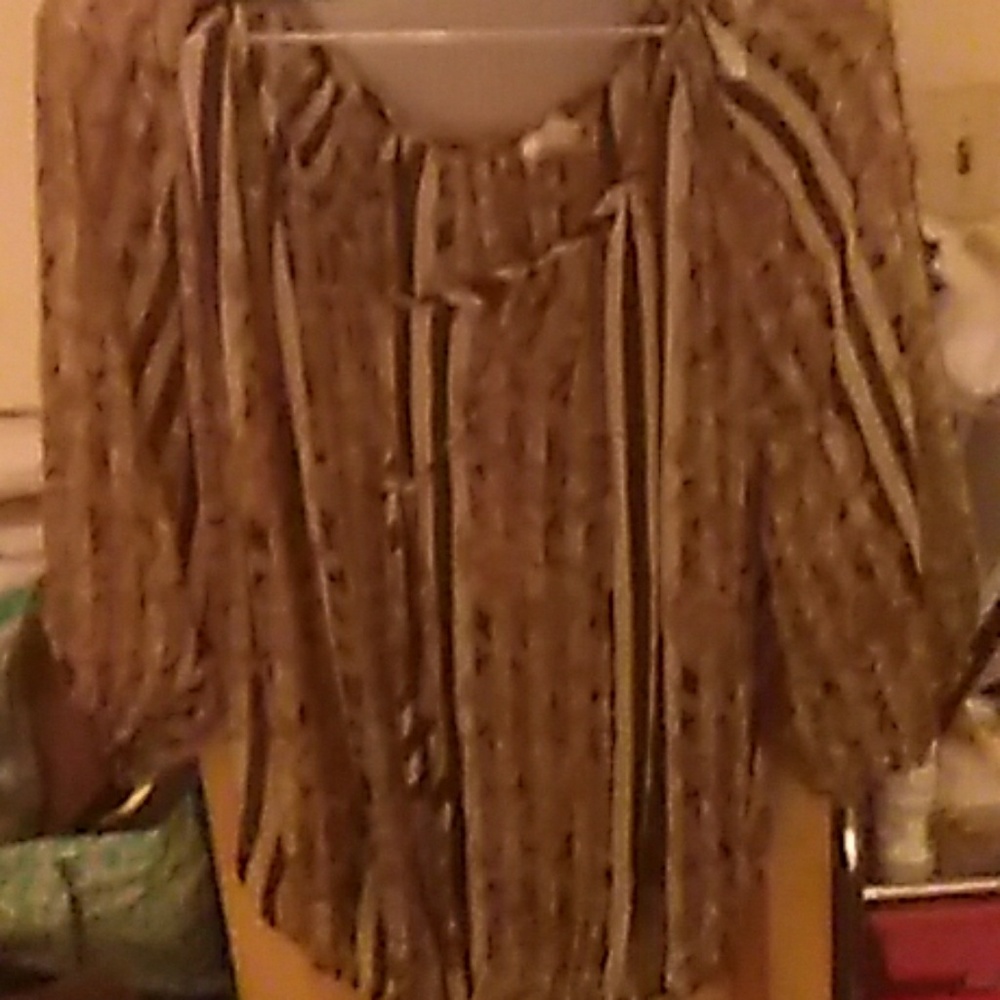 NWOT sheer floral and striped blouse